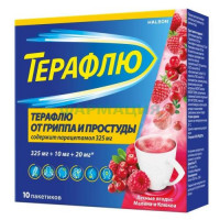 Терафлю порошок для приготовления раствора для приема внутрь 11,5г №10 лесные ягоды