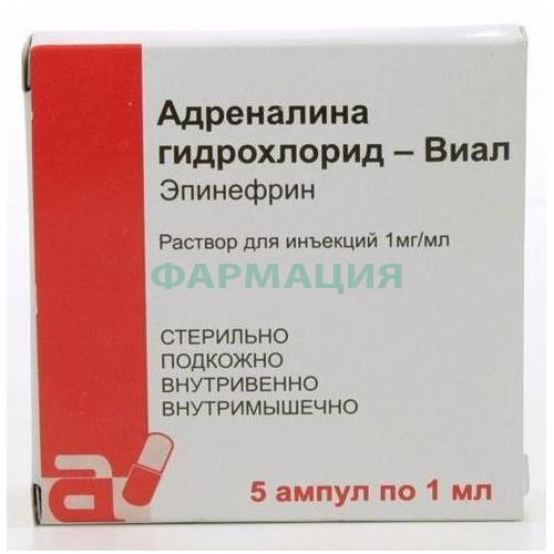 Адреналина гидрохлорид-виал раствор для инъекций 0.1% 1мл №5 Адреналина гидрохлорид-виал раствор для инъекций 0.1% 1мл №5